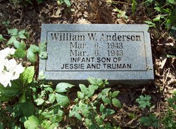 William W. Anderson 