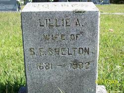 Lillian A “Lillie” <I>Lewis</I> Shelton 