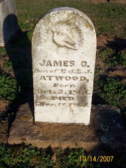 James C. Atwood 