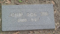 John VIII Doe 