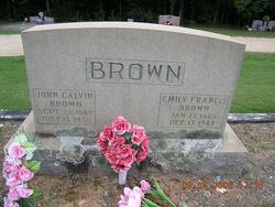 John Calvin Brown 