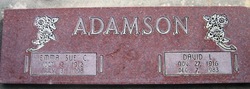 David L Adamson 