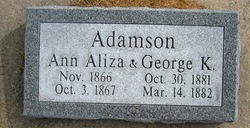 Ann Aliza Adamson 
