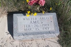 Walter Arlo Ames 