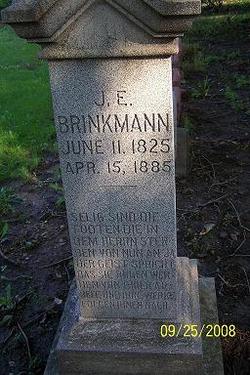 J. E. Brinkman 