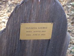 Ygnacia Asebez 