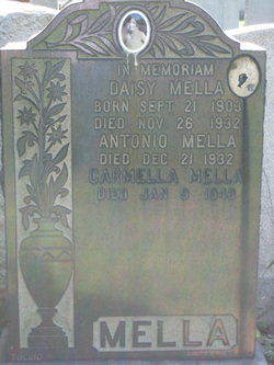 Carmella Mella 
