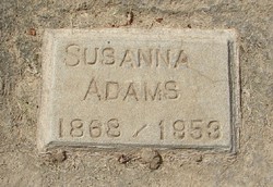 Susanna <I>McTucker</I> Adams 