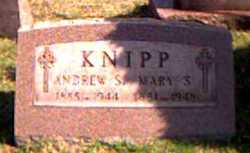 Andrew S Knipp 