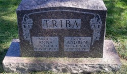 Andrew M. Triba 