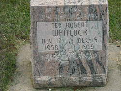Ted Robert Whitlock 