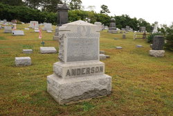 Andrew J Anderson 