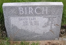 David Carl Birch 