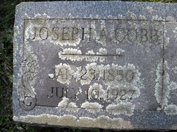 Joseph Cobb 