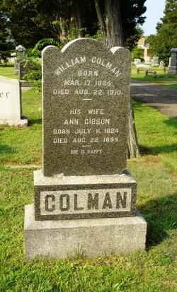Ann <I>Gibson</I> Colman 