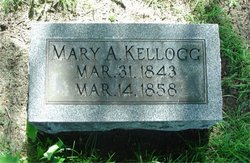 Mary Ann Kellogg 