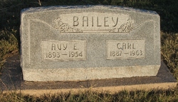 Carl Bailey 
