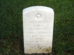 Herbert Earl Gaskins Sr.
