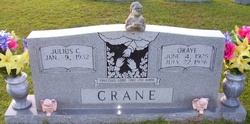 Oraye <I>Clark</I> Crane 