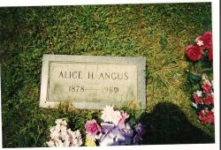 Alice Harriet <I>Daily</I> Angus 