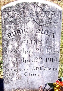 Bula Cline 