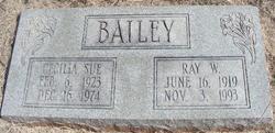 Ray Willard Bailey 