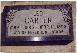 Leo Carter 
