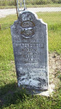 Wilbur C Ross 