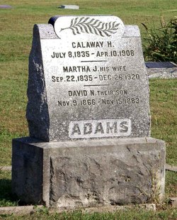 David N. Adams 