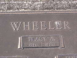 Tracy Andrea Wheeler 