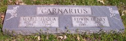 Edwin Henry Carnarius 