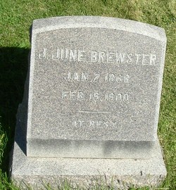 J June Brewster 