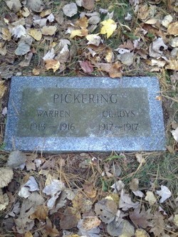 Warren Pickering 