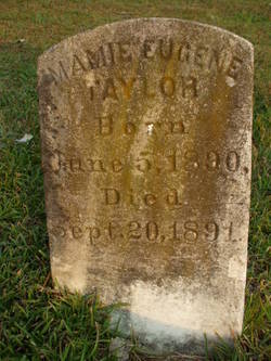 Mamie Eugene Taylor 