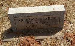 Andrew Jackson Bradish 
