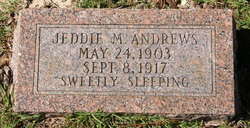 Jeddie M Andrews 