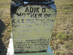 Adeline D. “Adie” <I>McAdams</I> Wardlow 