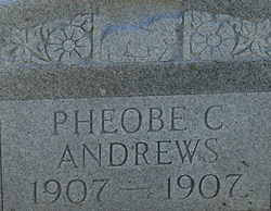 Phoebe C Andrews 