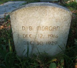 D. B. Morgan 