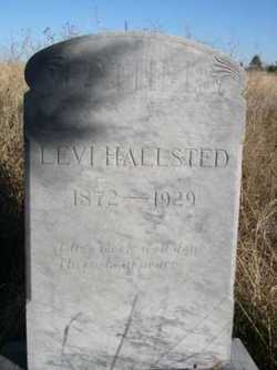 Levi Hallsted 