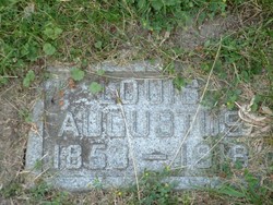 Louis Augustus Herbert 