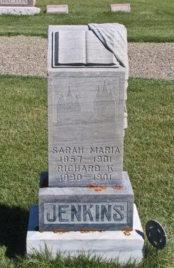 Sarah Maria <I>Kimball</I> Jenkins 