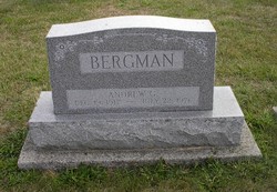Andrew G. Bergman 
