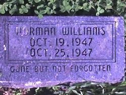 Norman Williams 