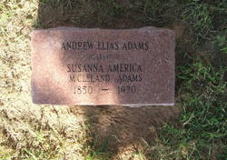 Andrew Elias Adams 