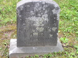Evelyn Davis 