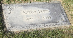 Anton Plese 