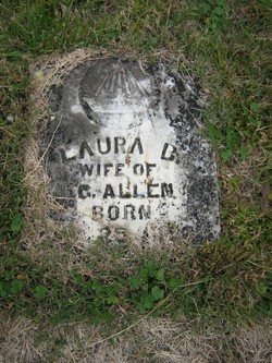 Laura B Allen 