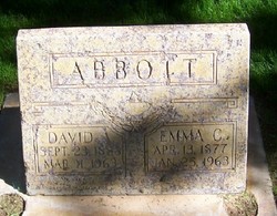 David Arthur Abbott 