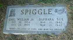 Carl William “Billie” Spiggle Jr.